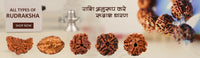 Authentic Rudraksha Collection - Spiritual Essence | Brahmatells