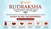 Rudraksha Adjustable Bracelets: Serenity in Every Bead | Brahmatells
