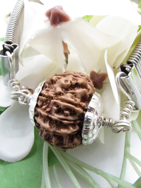 10 Mukhi Rudraksha Bracelet - Divine Protection | Brahmatells - BrahmatellsStore