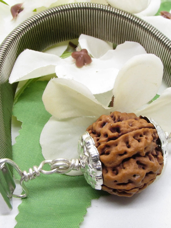5 Mukhi Rudraksha Bracelet with Silver Pendant - Spiritual Elegance | Brahmatells - BrahmatellsStore