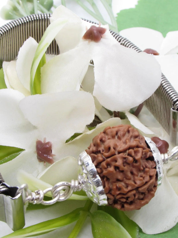 9 Mukhi Rudraksha Bracelet with Silver Pendant - Empowerment & Protection | Brahmatells - BrahmatellsStore