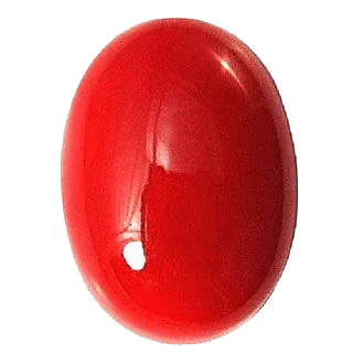 Brahmatells Egyptian Red Coral: Empower Your Mars with Moonga Stone - BrahmatellsStore