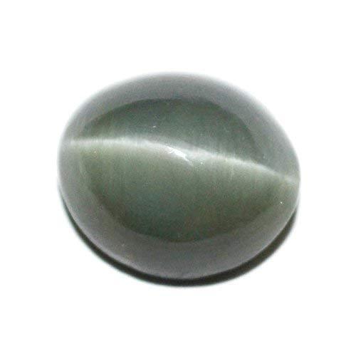 Cats Eye (Lehsunia) - BrahmatellsStore