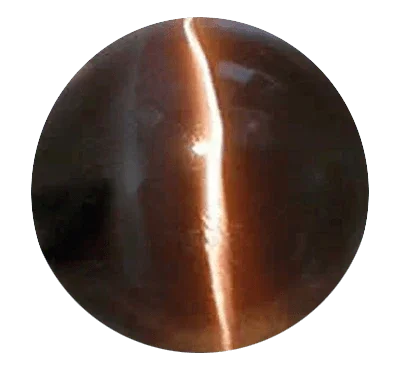 Cats Eye mocha-brown BTCE114GSM - BrahmatellsStore