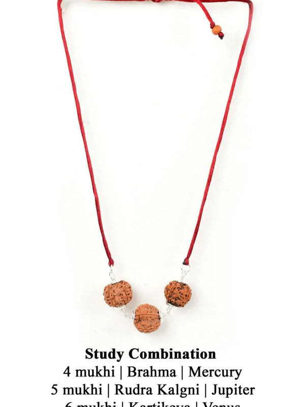 Enhance Learning & Creativity with Study Enhancement Rudraksha Combination | Brahmatells - BrahmatellsStore