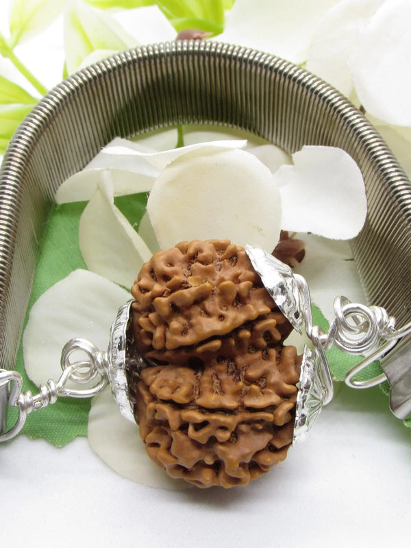 Gauri Shankar Rudraksha Bracelet with Silver Pendant - Harmony & Spiritual Connection | Brahmatells - BrahmatellsStore