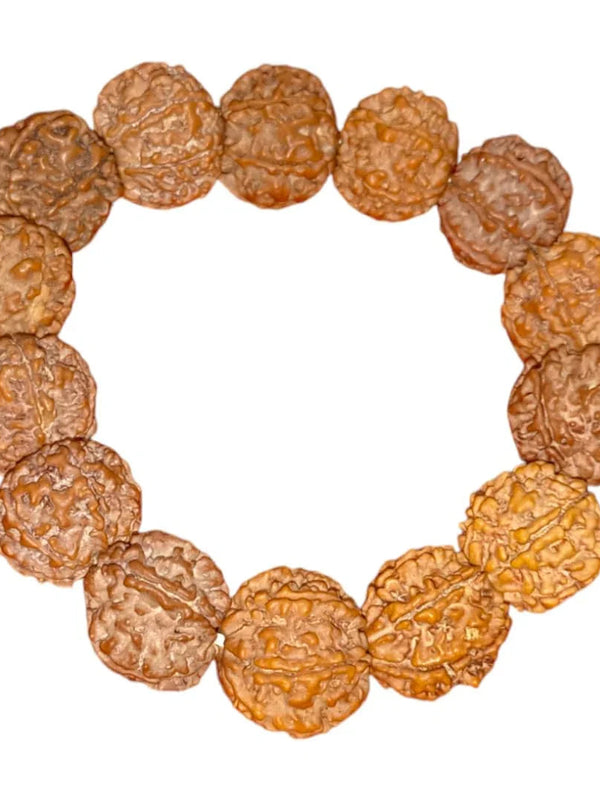 Original 7 Mukhi Nepali Rudraksha Bracelet | Certified Seven Faces Bead - BrahmatellsStore