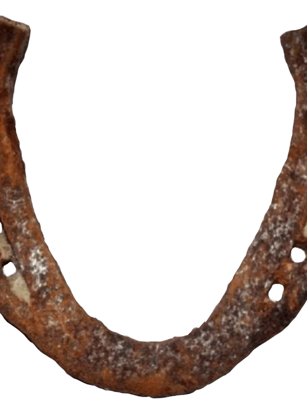 Original-Kale-Ghod-Ki-Naal - BrahmatellsStore