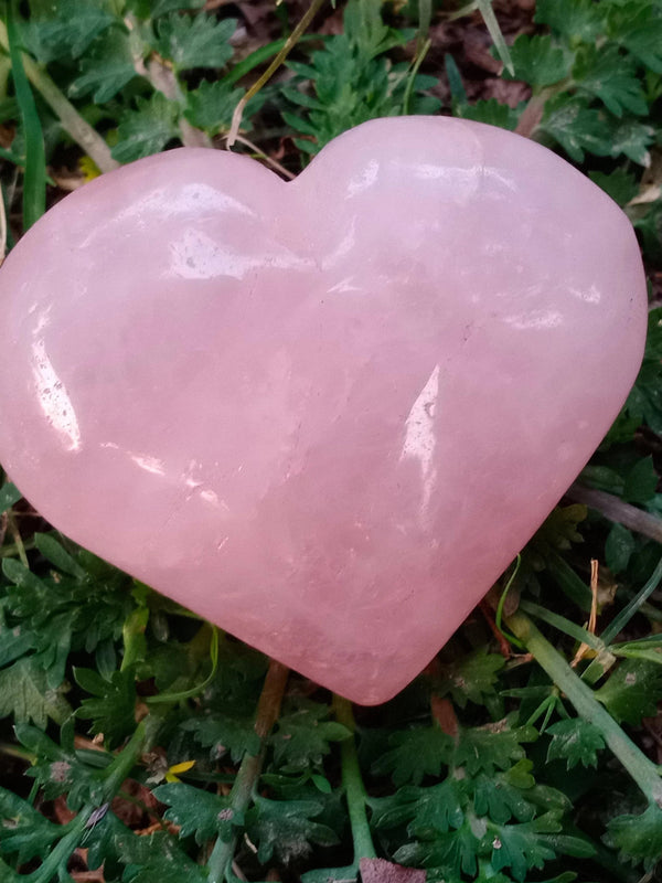 Rose Quartz Heart - BrahmatellsStore