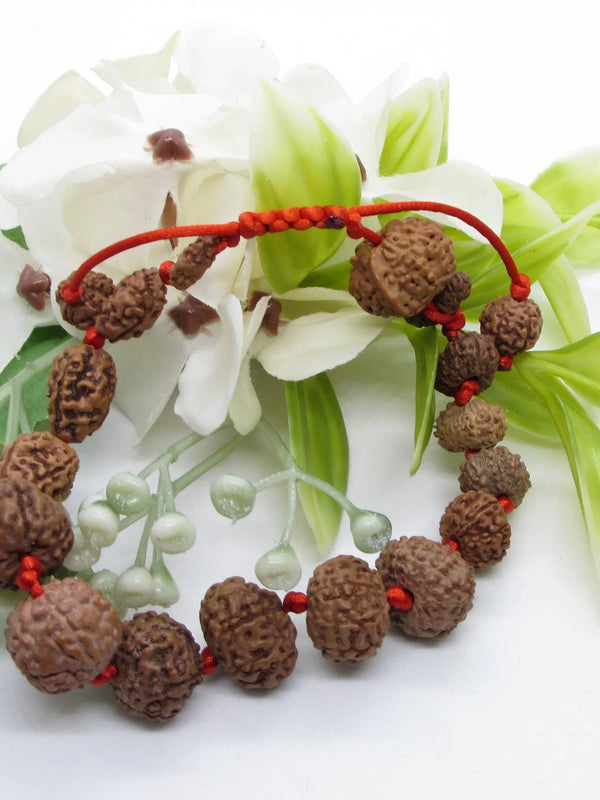 Siddha 1-14 Mukhi Java Rudraksha Bracelet - Ultimate Spiritual Accessory | Brahmatells - BrahmatellsStore