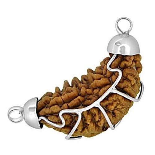 1 Mukhi Certified Rudraksha Silver Cap Pendant - Universal Spiritual Symbol | Brahmatells - BrahmatellsStore