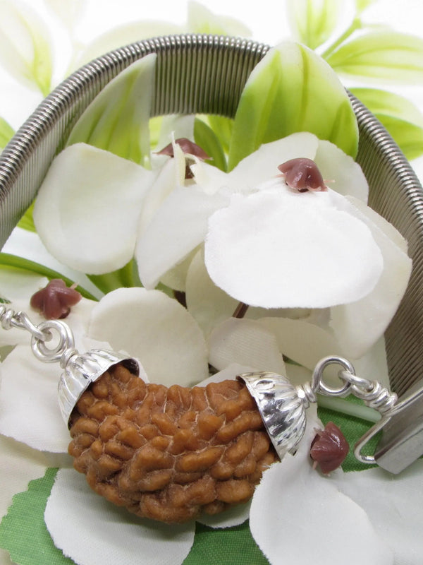 1 Mukhi Rudraksha Bracelet - Spiritual Elegance | Brahmatells - BrahmatellsStore