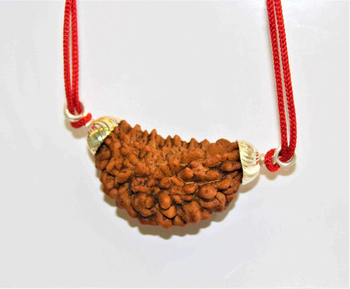 1 Mukhi Rudraksha Silver Pendant - Divine Essence of Shiva | Brahmatells - BrahmatellsStore