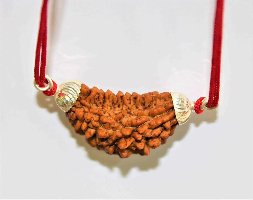 1 Mukhi Rudraksha Silver Pendant - Divine Essence of Shiva | Brahmatells - BrahmatellsStore