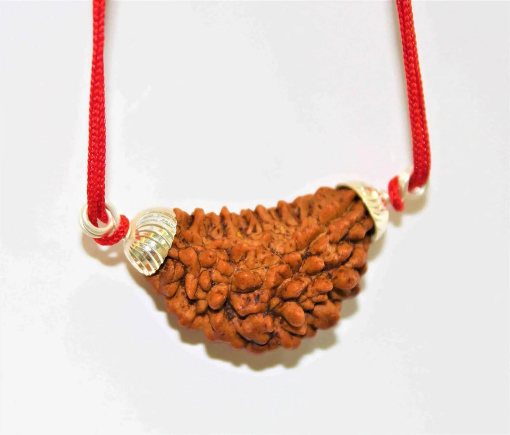 1 Mukhi Rudraksha Silver Pendant - Divine Essence of Shiva | Brahmatells - BrahmatellsStore