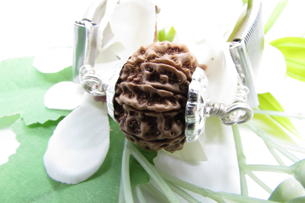 10 Mukhi Rudraksha Bracelet - Divine Protection | Brahmatells - BrahmatellsStore