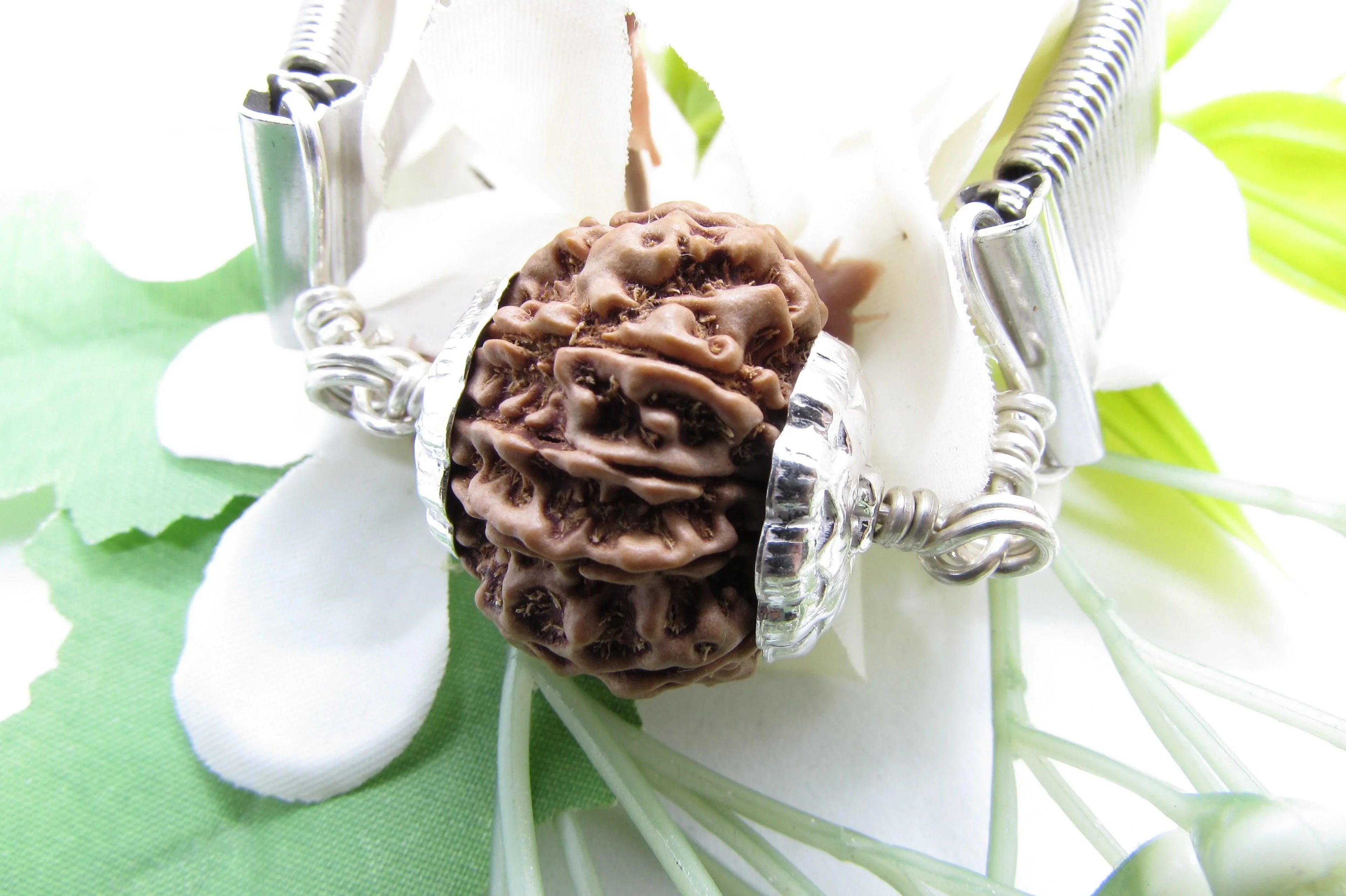 10 Mukhi Rudraksha Bracelet - Divine Protection | Brahmatells - BrahmatellsStore