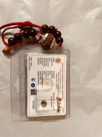 13 Mukhi Rudraksha Bracelet - Magnetize Your Presence | Brahmatells - BrahmatellsStore