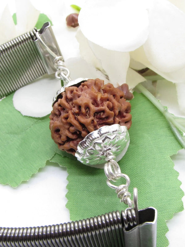 6 Mukhi Rudraksha Wisdom Bracelet | Brahmatells - BrahmatellsStore