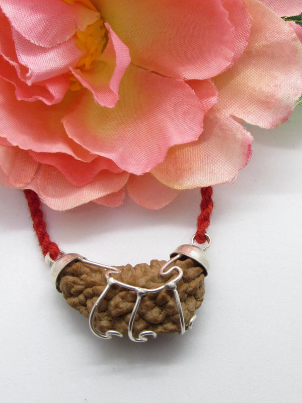 Aquarius One Mukhi Rudraksha - Astrological Harmony Pendant | Brahmatells - BrahmatellsStore