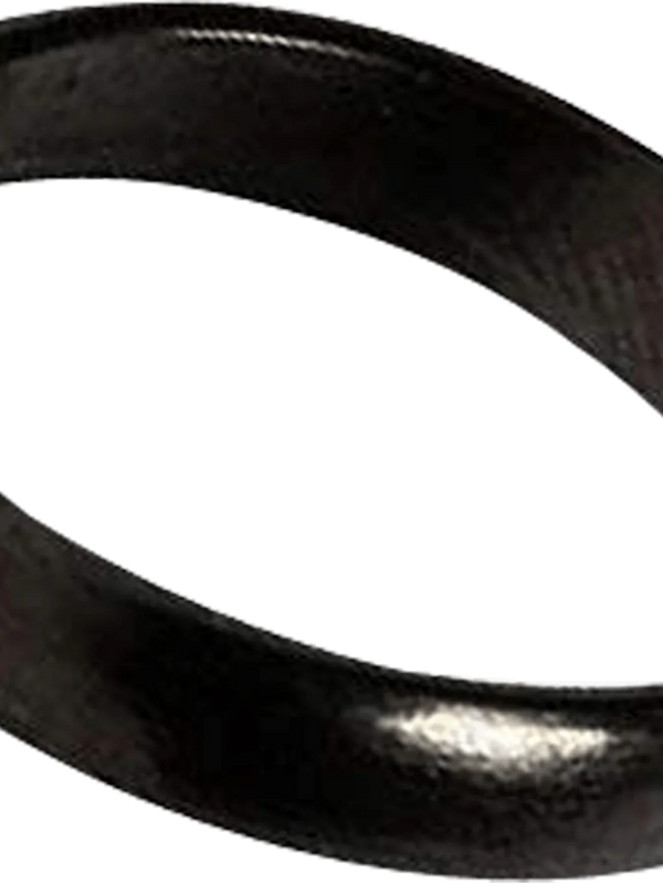 Horse Shoe Ring - BrahmatellsStore