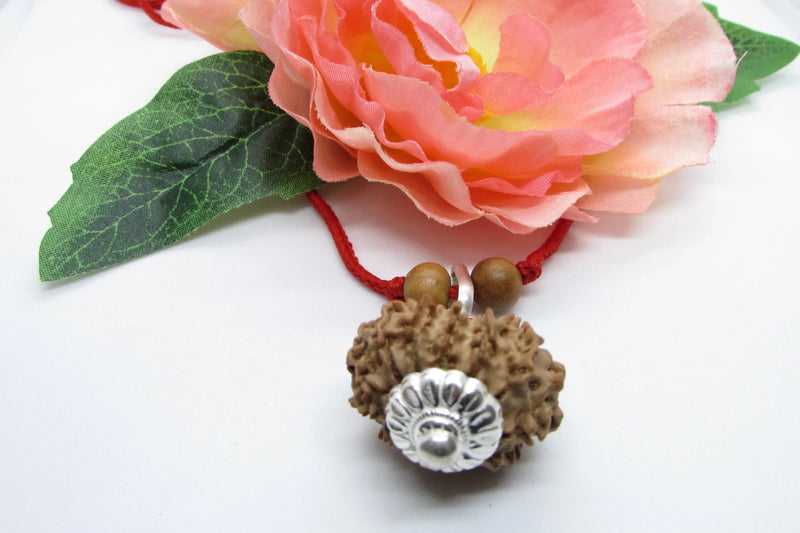 Leo Zodiac Rudraksh Power - 12 Mukhi Nepal Bead for Sun Energy | Brahmatells - BrahmatellsStore