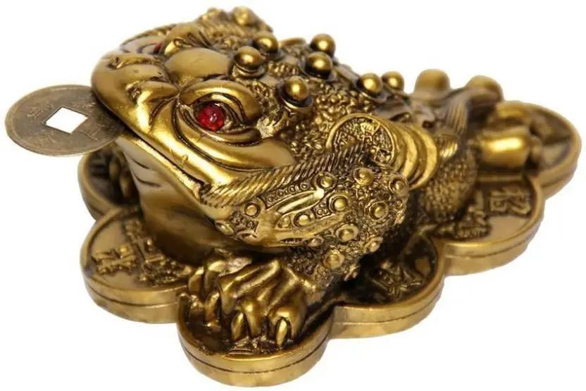 Feng Shui Money Frog with Coin – Brahmatellsstore