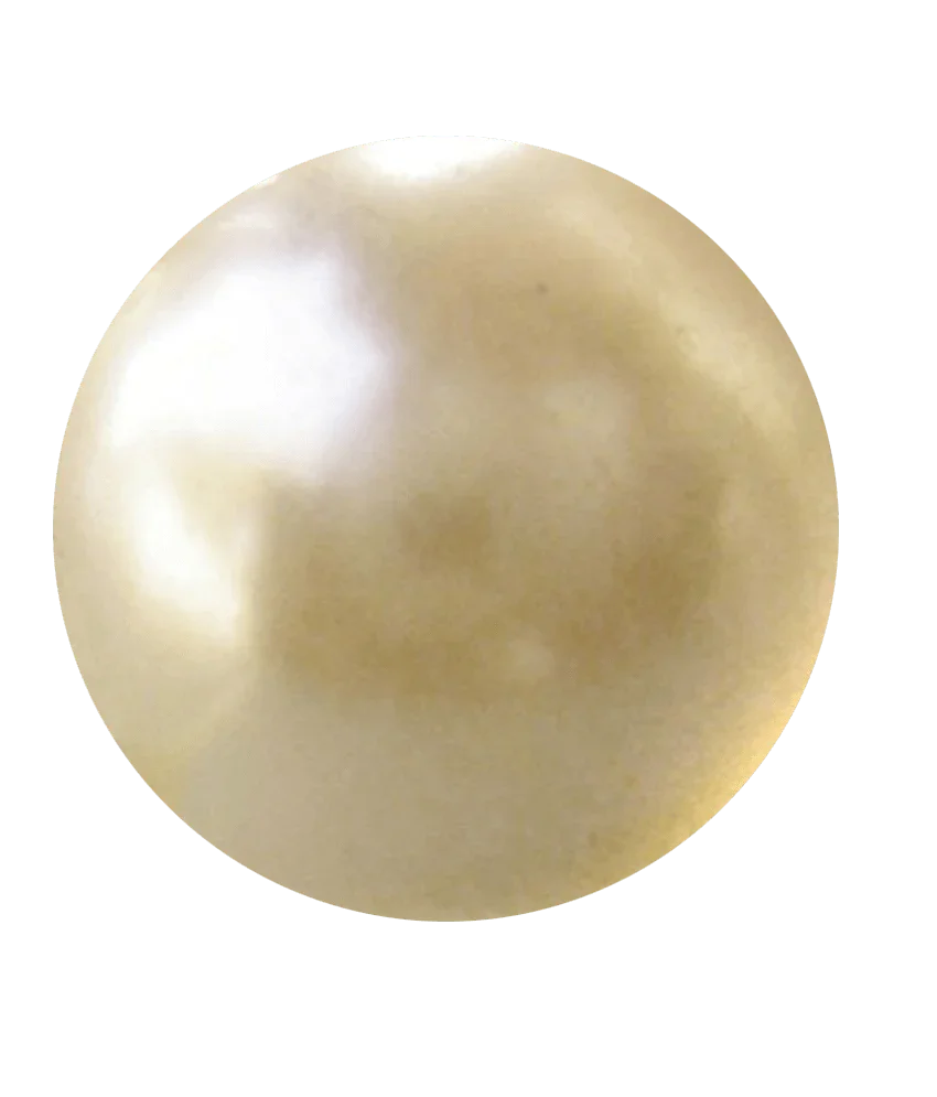 Pearl gold-light BTP109GSM - BrahmatellsStore