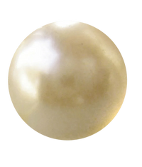 Pearl (Moti)(Flat) - BrahmatellsStore