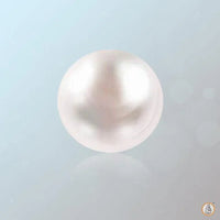 Pearl white BTP101GSM - BrahmatellsStore