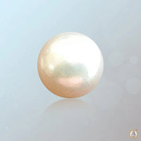 Pearl white BTP108GSM - BrahmatellsStore