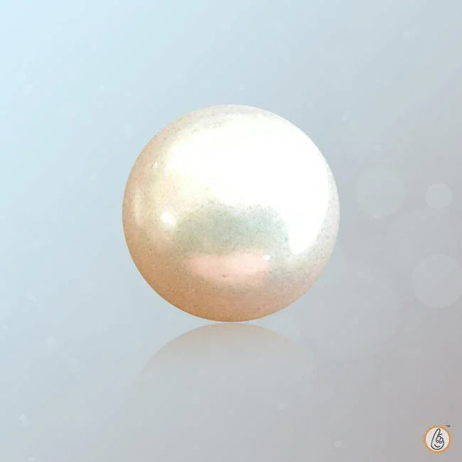 Pearl white BTP108GSM - BrahmatellsStore