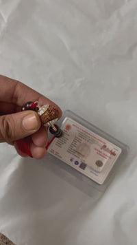 13 Mukhi Rudraksha Bracelet - Magnetize Your Presence | Brahmatells